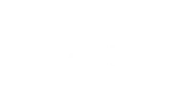 Vizio