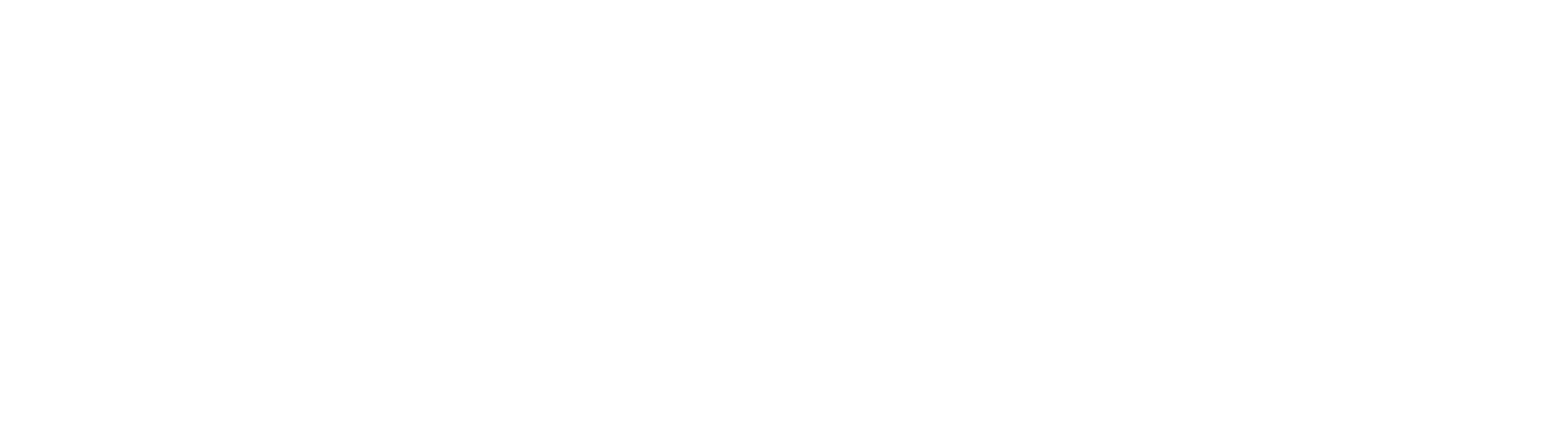 CHSN Logo
