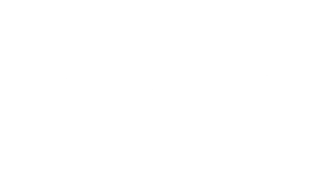 Xfinity X1